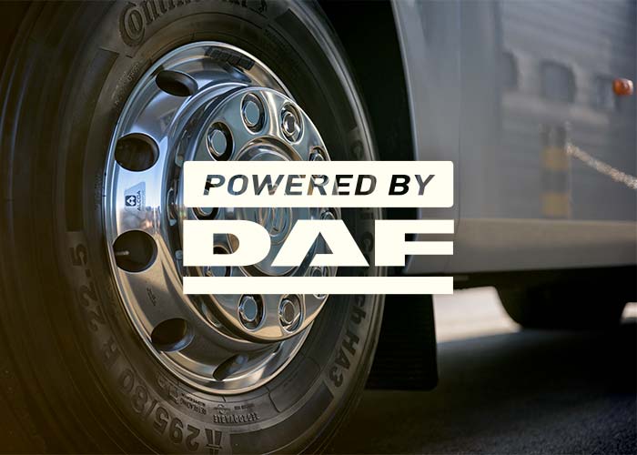Dealer Network